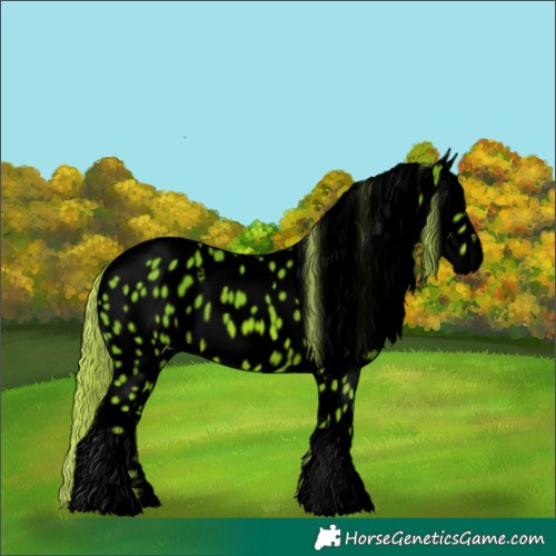 Horse Color:Void Watercolor Chestnut Tobiano Appaloosa 
