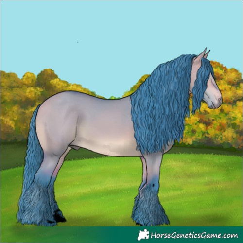 Horse Color:Void Watercolor Bay Dun 