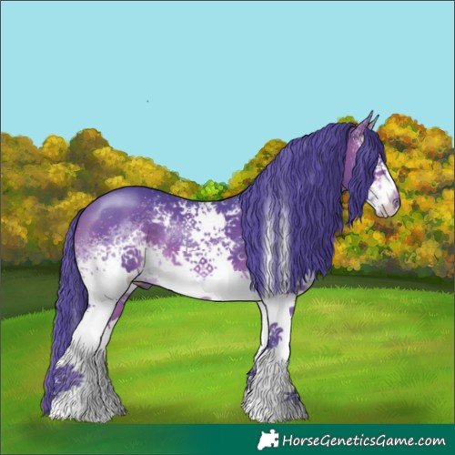 Horse Color:Watercolor White Spotted Bay Rabicano 