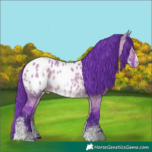 Horse Color:Watercolor White Spotted Brown Dun Blanket Rabicano