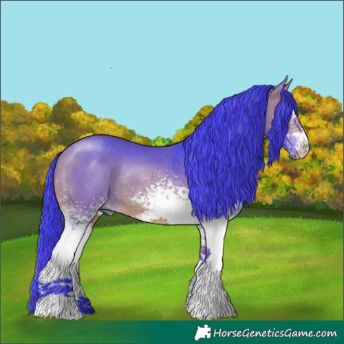 Horse Color:Watercolor White Spotted Bay Rabicano