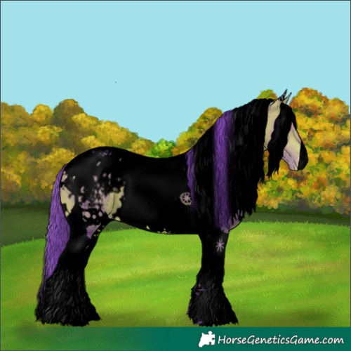 Horse Color:Void Watercolor White Spotted Bay Tobiano Appaloosa