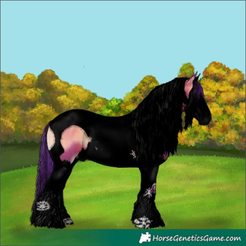 Horse Color:Void Watercolor Bay Onyx Splash Tobiano