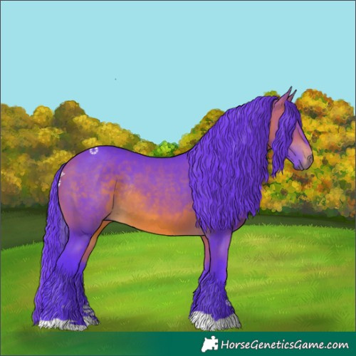 Horse Color:Watercolor Bay Rabicano 