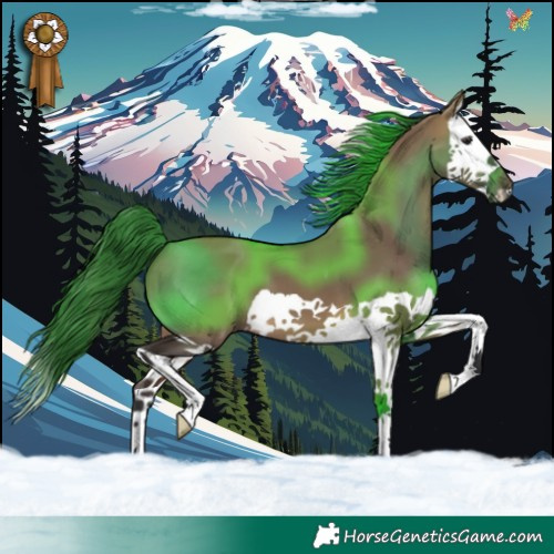 Horse Color:Brown Dun Splash