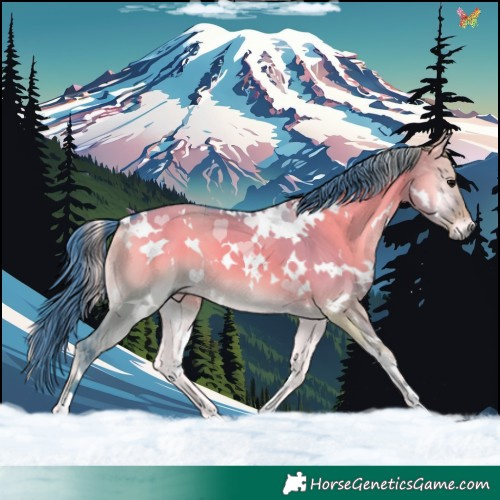 Horse Color:Watercolor White Spotted Chocolate Grullo Onyx