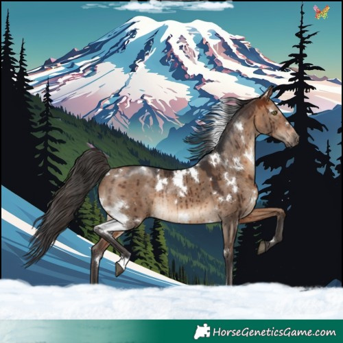 Horse Color:White Spotted Bay Dun Rabicano Brindle 