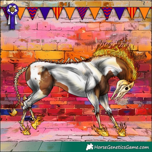 Horse Color:Bay Tobiano Blanket