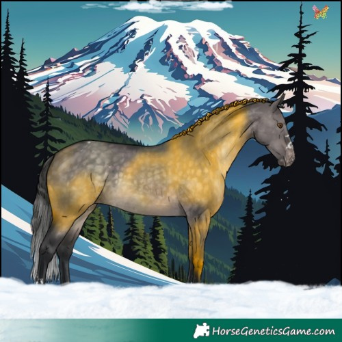 Horse Color:Platinum Brown Dun Appaloosa 