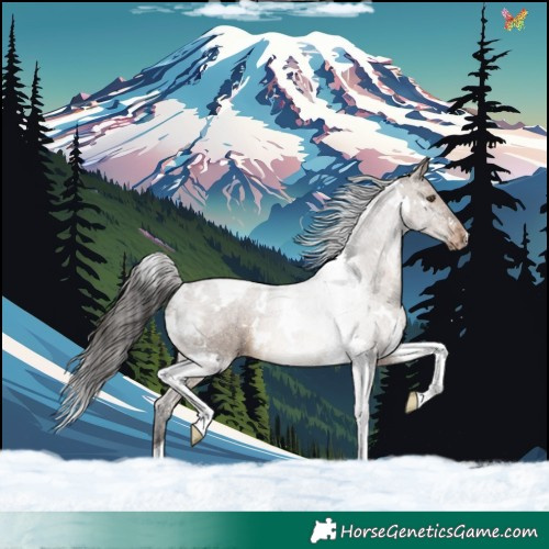 Horse Color:White Spotted Brown Dun Tobiano Appaloosa Rabicano
