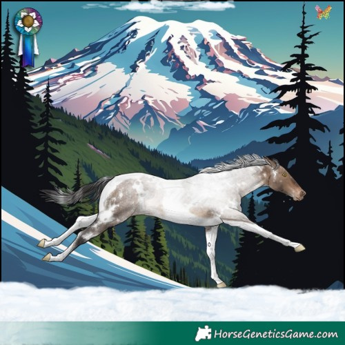 Horse Color:White Spotted Brown Dun Tobiano Appaloosa Rabicano