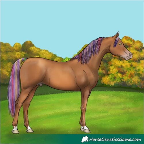 Horse Color:Gray Painted Gold Champagne 
