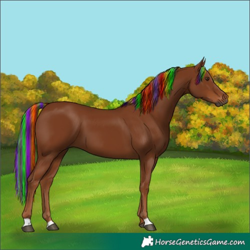 Horse Color:Gray Painted Chestnut
