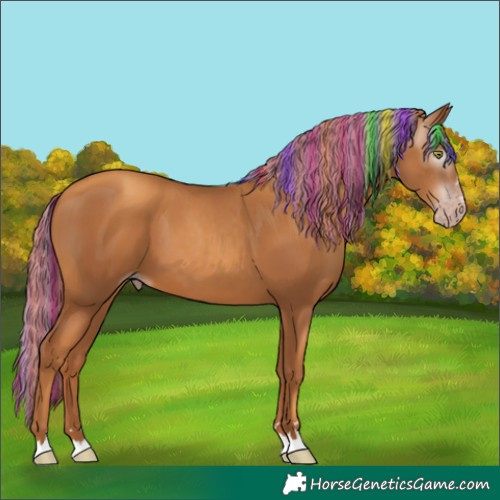 Horse Color:Gray Painted Gold Champagne