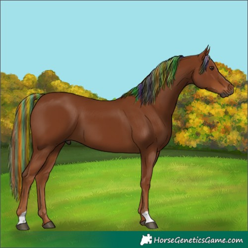 Horse Color:Gray Painted Chestnut