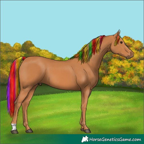 Horse Color:Painted Chestnut 