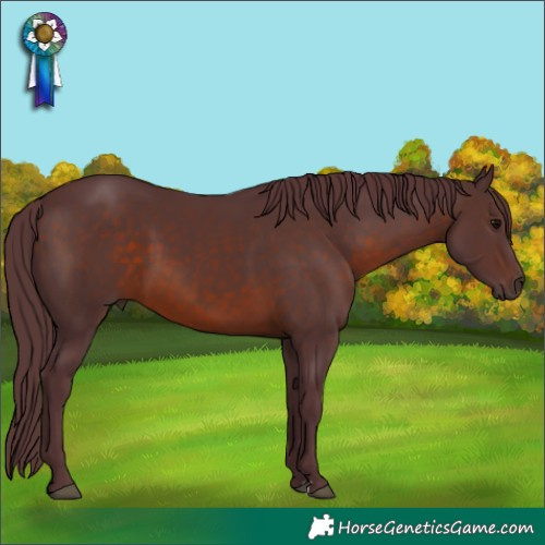 Horse Color:Chocolate Brown Rabicano 