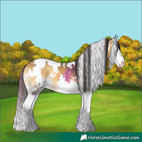 Horse Color:White Spotted Buckskin Onyx Splash 