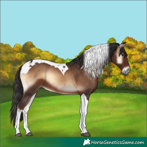 Horse Color:Liver Red Onyx Tobiano