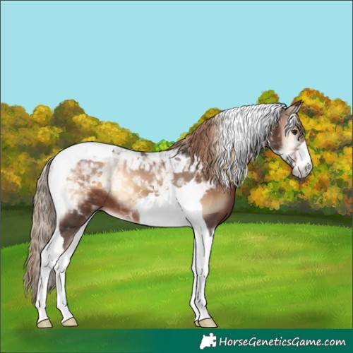 Horse Color:Liver Red Onyx Tobiano 