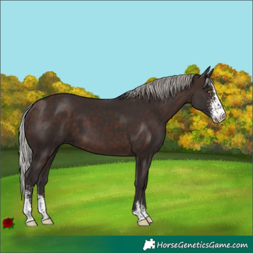 Horse Color:Silver Brown Sabino