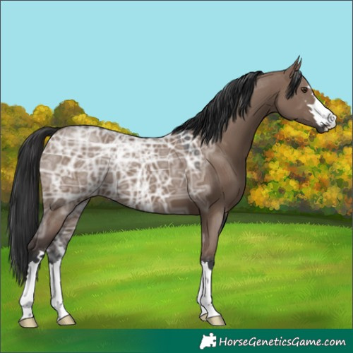 Horse Color:Liver Red Dun Ice 