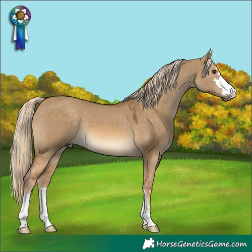 Horse Color:Chocolate Palomino Dun