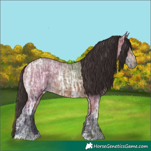 Horse Color:Bay Ice