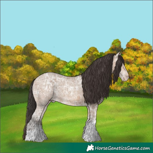 Horse Color:Sable Champagne Ice