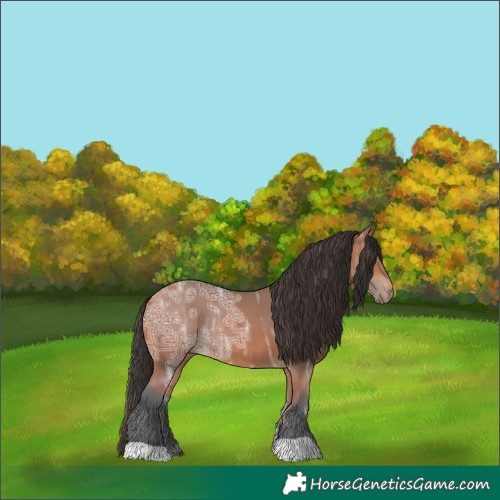 Horse Color:Bay Ice 