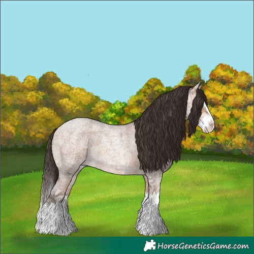 Horse Color:Amber Champagne Ice Roan Splash