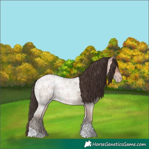 Horse Color:Amber Champagne Ice Roan