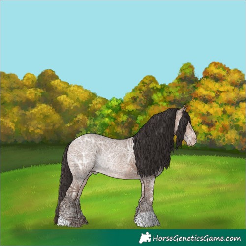 Horse Color:Sable Champagne Ice Rabicano