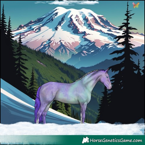 Horse Color:Watercolor Sable Champagne Tobiano Appaloosa