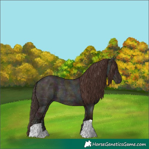 Horse Color:Midnight Classic Champagne Ice Dun