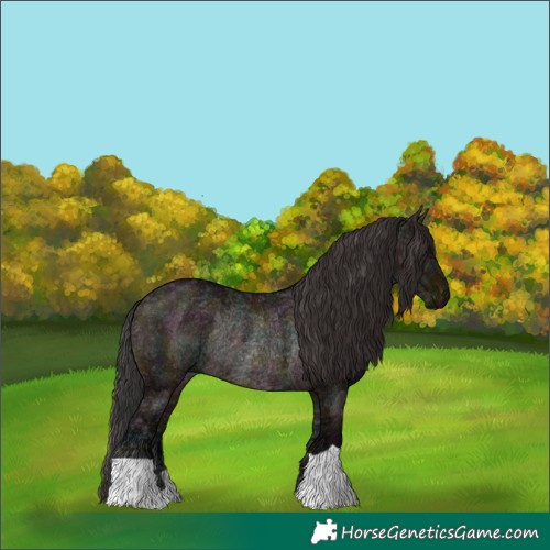 Horse Color:Midnight Brown Ice Dun Rabicano