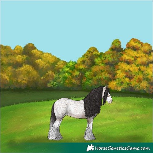 Horse Color:Bay Ice Roan Dun Splash