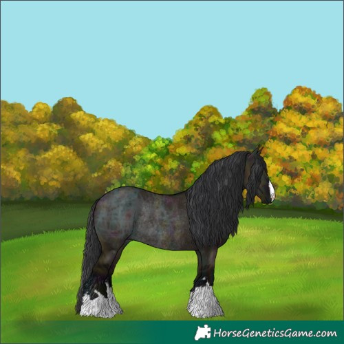 Horse Color:Midnight Brown Ice Dun Rabicano 