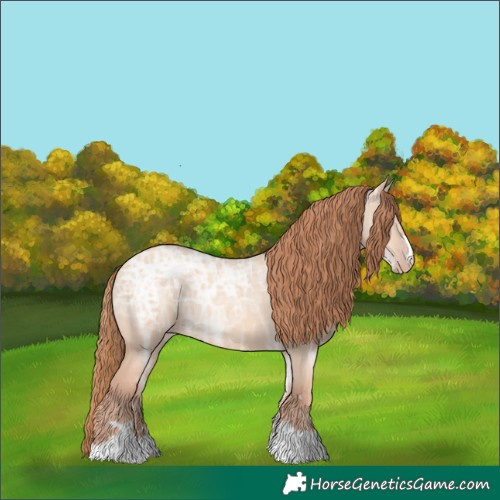 Horse Color:Gold Champagne Ice Dun 