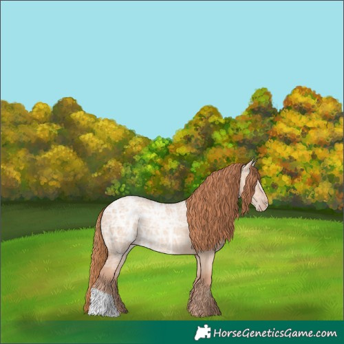 Horse Color:Gold Champagne Ice Dun