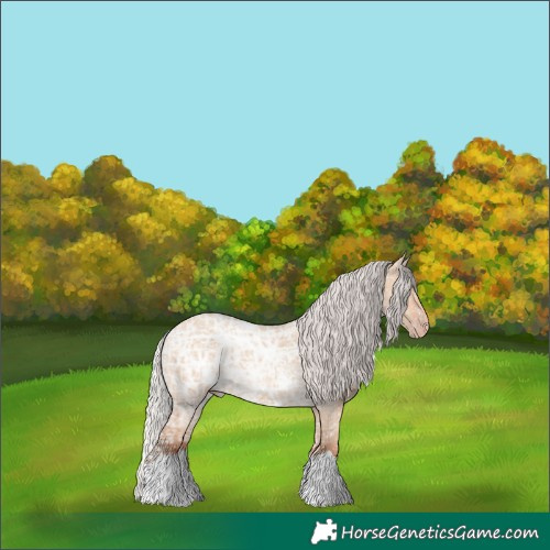 Horse Color:Silver Amber Champagne Ice Dun 