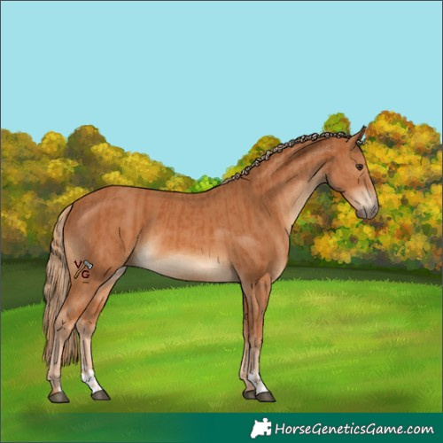 Horse Color:Chestnut  and Chestnut 