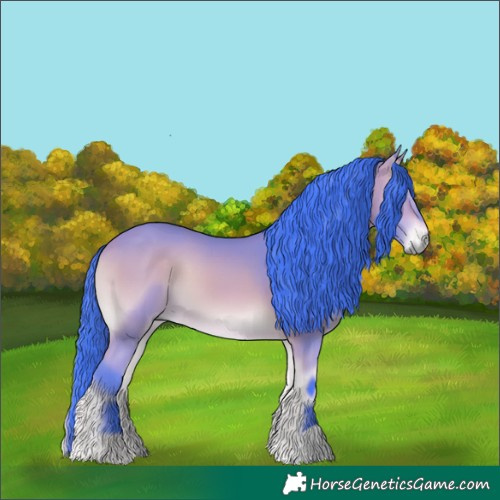 Horse Color:Watercolor Bay Onyx 