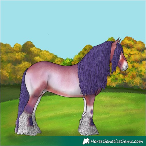 Horse Color:Watercolor Bay Onyx Rabicano