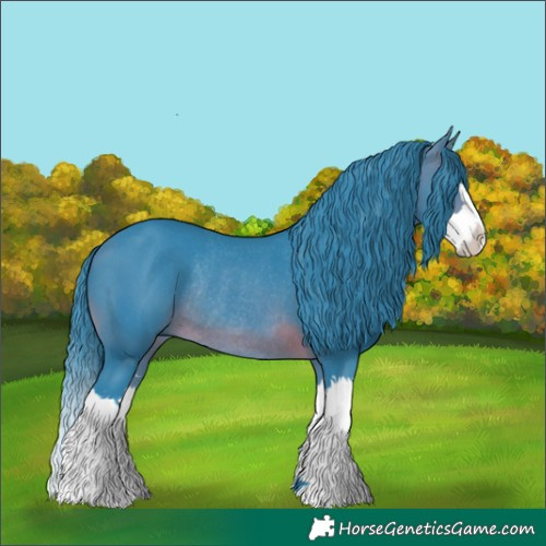 Horse Color:Watercolor Brown Splash Rabicano 
