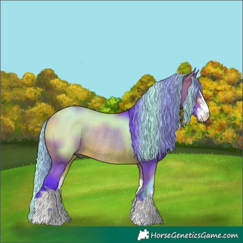 Horse Color:Watercolor White Spotted Bay Rabicano