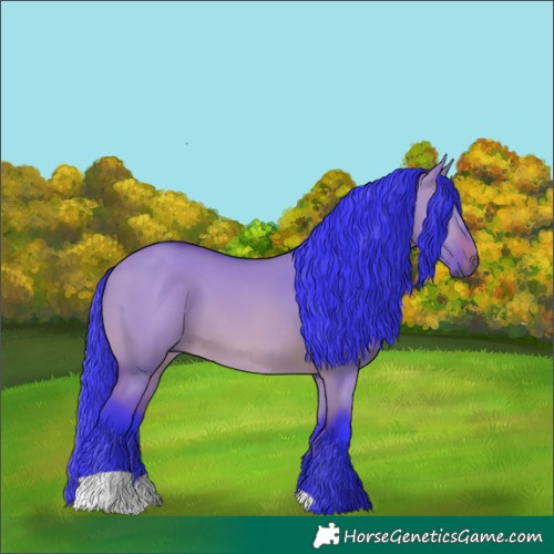 Horse Color:Watercolor Bay Dun 