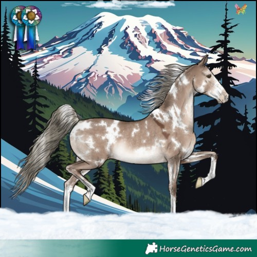 Horse Color:White Spotted Liver Red Dun Mushroom Sabino Appaloosa Rabicano 