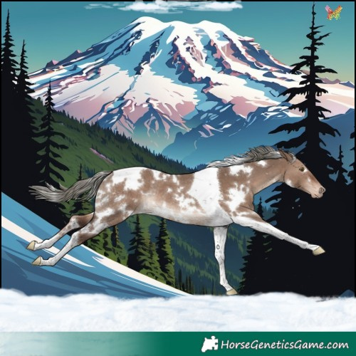 Horse Color:White Spotted Liver Red Dun Mushroom Tobiano Appaloosa Rabicano 