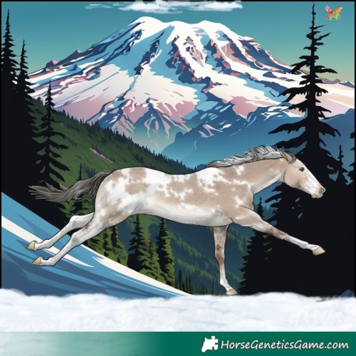 Horse Color:White Spotted Liver Red Dun Mushroom Sabino Rabicano